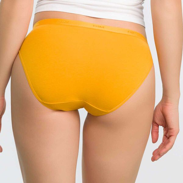 Buy DAGİ Yellow Basic Briefs, Floral, Embroidered, Regular Fit, Underwear  for Women in Yellow 2024 Online